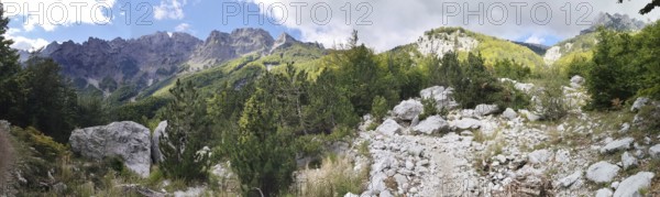 Panorama, rocky path surrounded by trees and mountains under a partly cloudy sky, Peaks of the