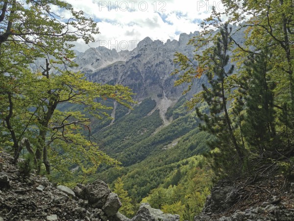 View through trees of wooded slopes and rugged mountains on a sunny day, Peaks of the Balkans,