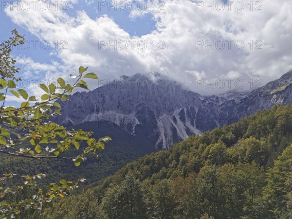 Cloudy mountain peaks with autumn leaves in the foreground under cloudy sky, Peaks of the Balkans,