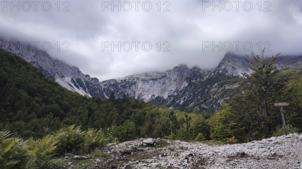 Mountain landscape with fog sweeping over rocky peaks surrounded by thick forest, Peaks of the
