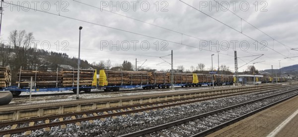 A goods train loaded with spruce trunks (picea) stands at a railway station under a cloudy sky,