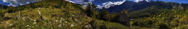 Panorama, sun-drenched and dramatic forest landscape with huts in bright colors, contrasting