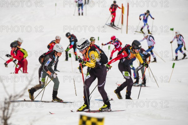Athletes climbing the ski touring competition Jennerstier, Skimo, Jenner, Schönau am Königssee,