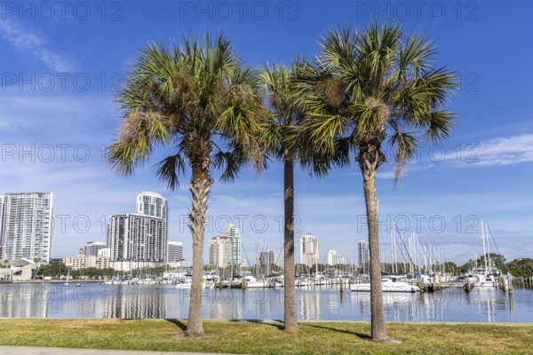 Saint Petersburg Florida promenade on Tampa Bay with palm trees in Downtown St Petersburg, USA