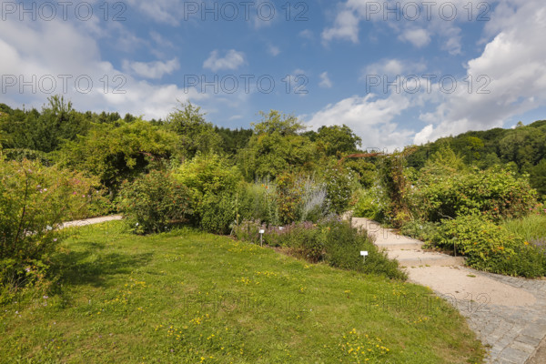 Path, lawn, various plants, flower bed, sky, clouds, Ulm University Botanical Garden,
