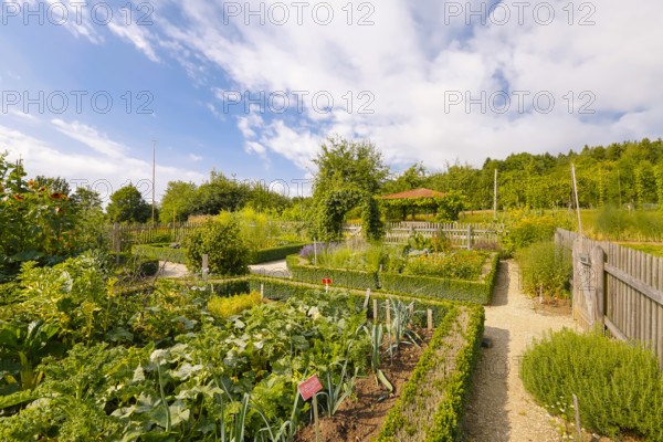 Cottage garden, outdoor area, wooden fence, various crops, flower bed, path, Ulm University