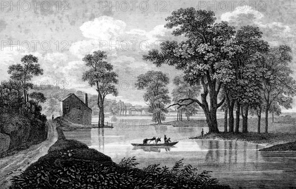 Idyllic river landscape near Albany, New York, USA, Hudson River, rowing boat, animal transport,