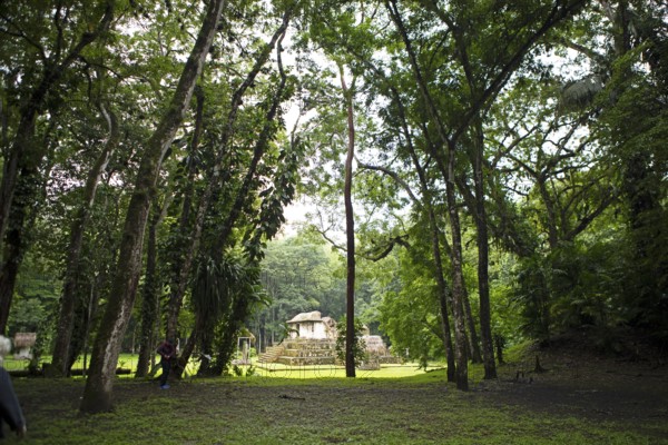 Seibal or El Ceibal Archaeological Site, Mayan Ruined City in the Rainforest or Jungle, Lowlands,
