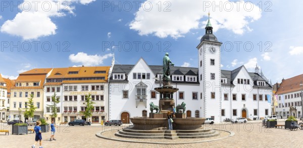 Panorama of Obermarkt with Council Pharmacy, Town Hall and Fountain Monument with City Founder Otto