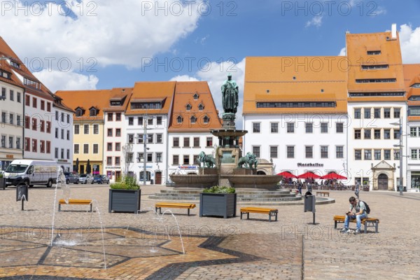 Obermarkt with water feature, fountain monument with city founder Otto the Rich and historic town