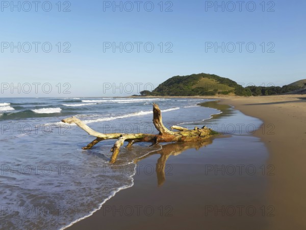 A piece of driftwood on a quiet beach with gentle waves and a blue sky, Coffee Bay, Wild Coast,
