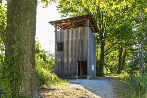 Observation tower at Brösaer Teich, Guttauer Teiche, Oberlausitzer Heide- und Teichlandschaft,