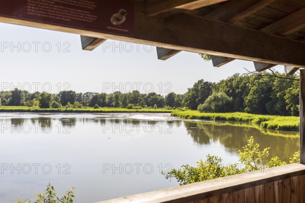 View from Brösaer Teich observation tower, Guttauer Teiche, Oberlausitzer Heide- und