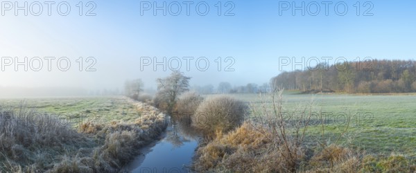 View along a ditch where trees and grasses grow on the shore and the morning dew is frozen, Winter,