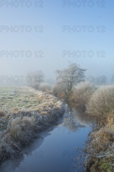View along a ditch where trees and grasses grow on the shore and the morning dew is frozen, Winter,