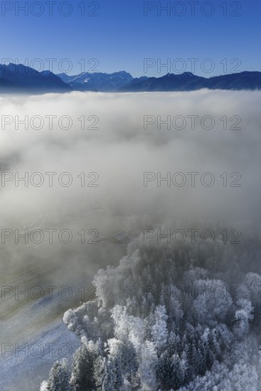 Winter landscape, fog, high fog, mountain landscape, hoarfrost, cold, trees, forest, winter, sunny,