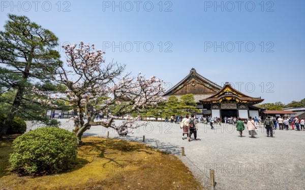 Kuruma-yose building behind the Tosaburai with blooming cherry tree, former imperial villa, Nijo