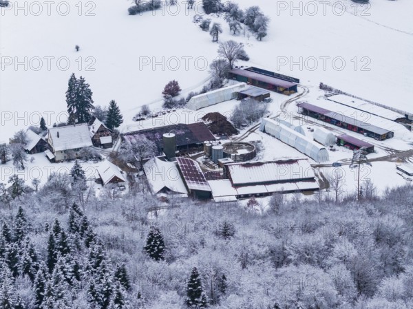Farmhouse surrounded by snow-covered fields and forests in a wintry landscape, Haselstaller Hof,