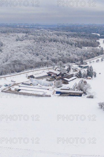 Snowy landscape with a farm surrounded by forests under a grey sky, Haselstaller Hof, Gechingen,