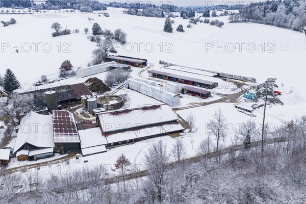 A snow-covered farm in hilly, quiet countryside, Haselstaller Hof, Gechingen, Calw district,