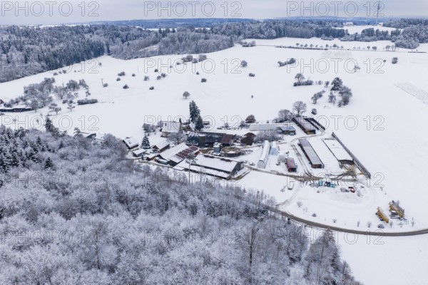 Farmhouse in a vast, snowy winter landscape with forests and fields, Haselstaller Hof, Gechingen,