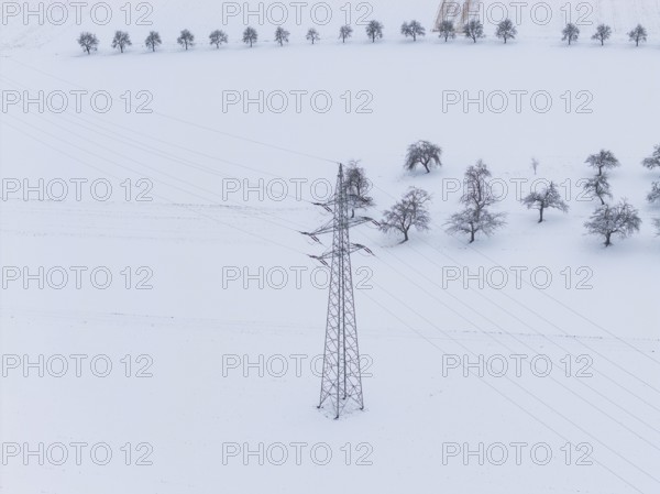 Single power pole on a white snowfield with scattered trees in the background, substation,