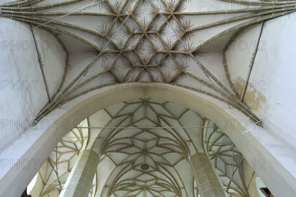 Net vault of the late Gothic three-nave hall church, 15th century, Birthälm fortified church,