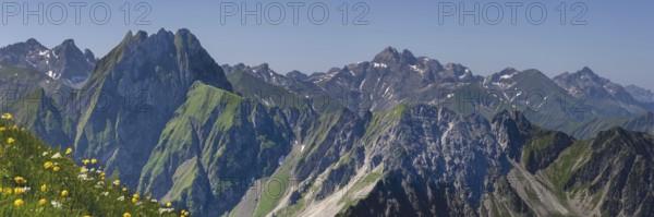 Mountain panorama with troll flowers (Trollius europaeus) from Laufbacher-Eckweg to Höfats 2259m,