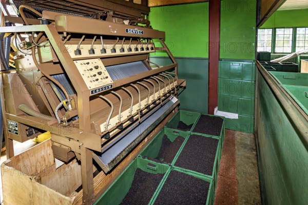 Industrial machine in a factory with green containers standing in an interior, tea factory in the