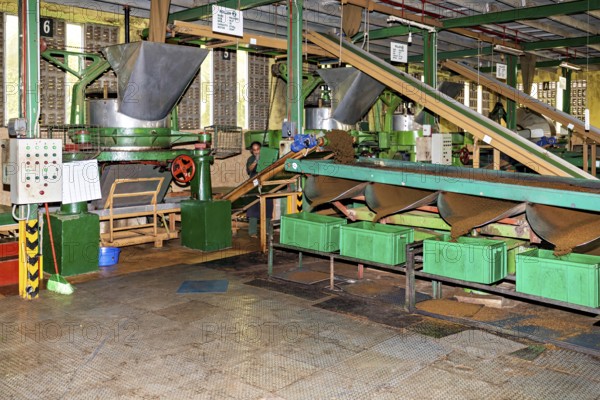 Industrial machines and processing lines in a coffee production factory, tea factory in the