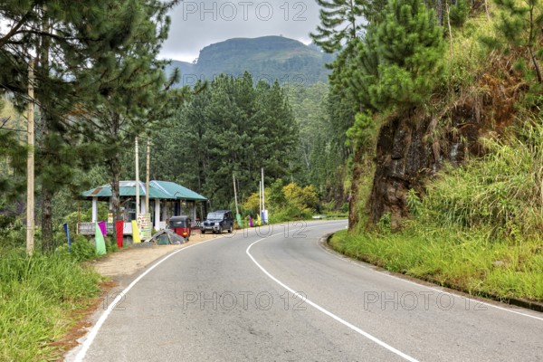 Curvy road through a green, wooded landscape with mountains in the background, road in the