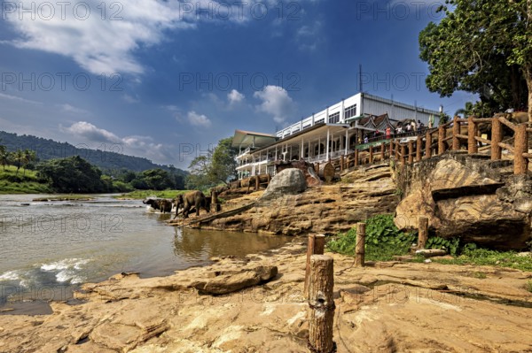 A building stands by a river, surrounded by rocks and trees under a blue sky, The elephants of