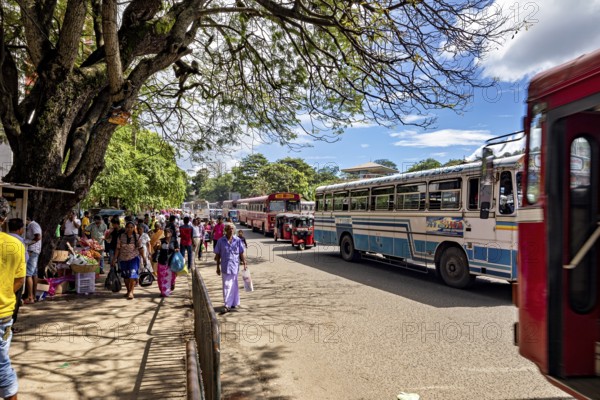 Busy street with passing buses and people under trees in sunny weather, Kandy bus station in Sri