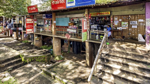 A storefront with various signs and posters surrounded by trees and a rustic atmosphere, The old