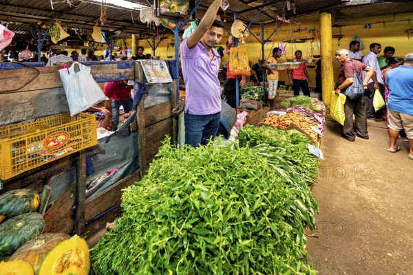 A man sells fresh herbs in a lively market with yellow walls, the old market halls of Kandy in Sri