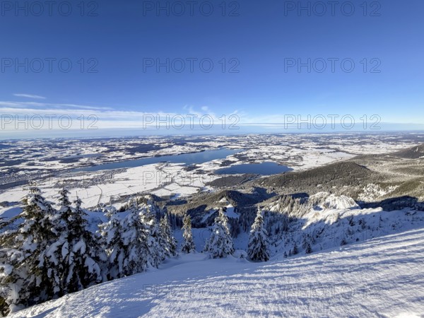 View of Forggensee and Bannwaldsee with snow in winter, ski tour on Tegelberg in winter, Schwangau,