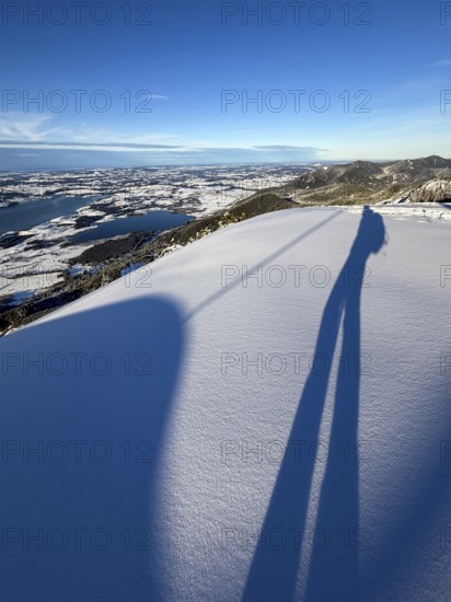 Shades of a ski tourer on fresh snow, view of Forggensee and Bannwaldsee with snow in winter, ski