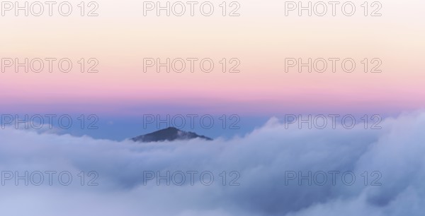 Jura foothills strehen over the sea of fog in the light of dawn, Talheim, Canton of Aargau,
