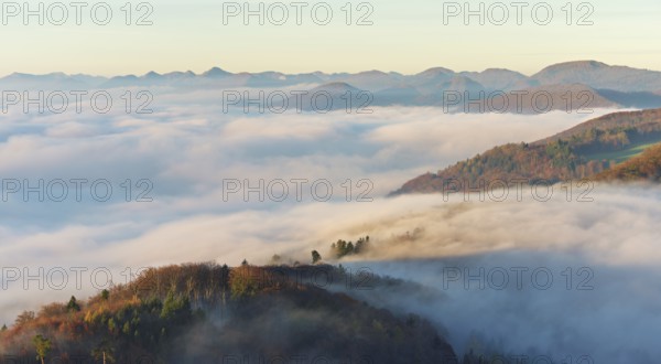 View from the Gisliflue of the Jura foothills covered in fog, in morning light, Talheim, Canton,