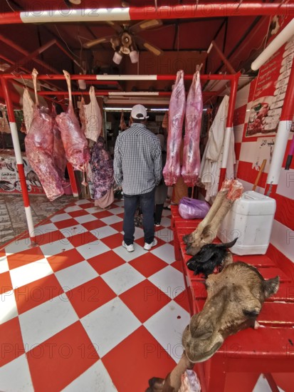 Interior view of a butcher's shop with meat products and striking tile pattern, camel head