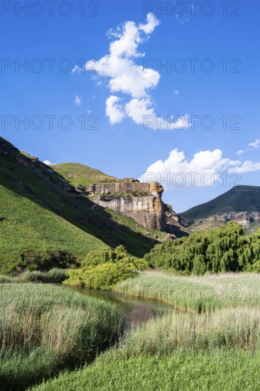 Grassland with sandstone cliffs and cliffs, landscape in Golden Gate Highlands National Park, Free