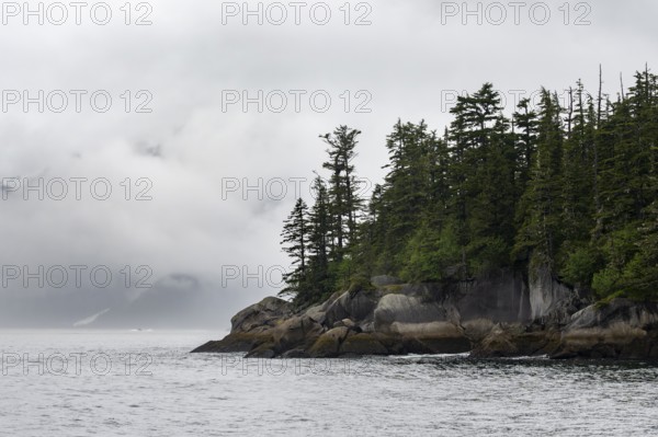 Rocky coast with coniferous forest, coastal landscape, mystical cloud-covered mountains, Kenai