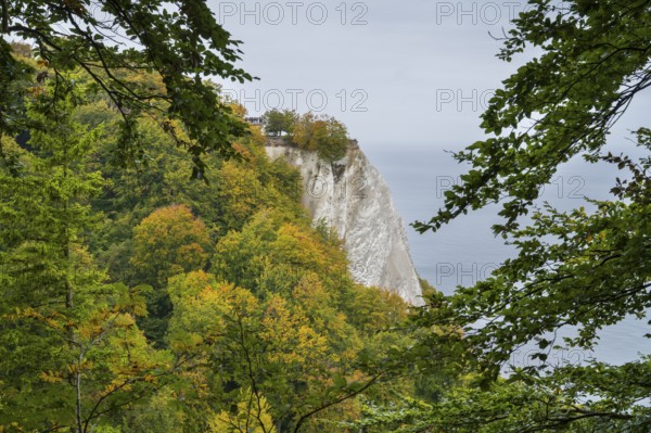 Victoria view of Königsstuhl, chalk cliffs and Baltic Sea, trees with autumn colors, Jasmund