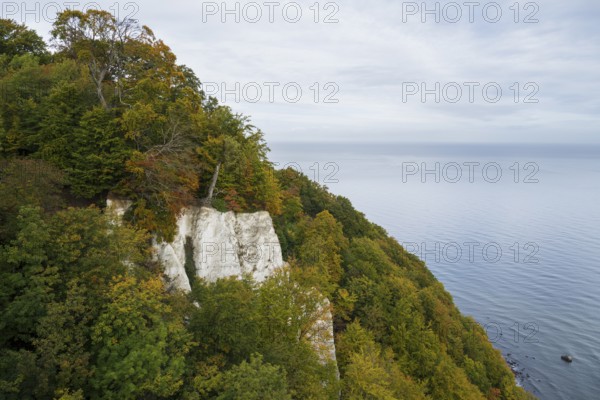 View of the chalk cliffs and Baltic Sea at the Königsstuhl National Park Center, Jasmund National