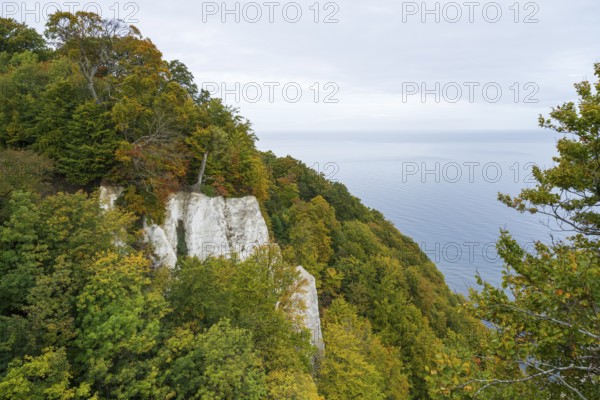 View of chalk cliffs and Baltic Sea, trees with autumn leaves, Jasmund National Park, Sassnitz,