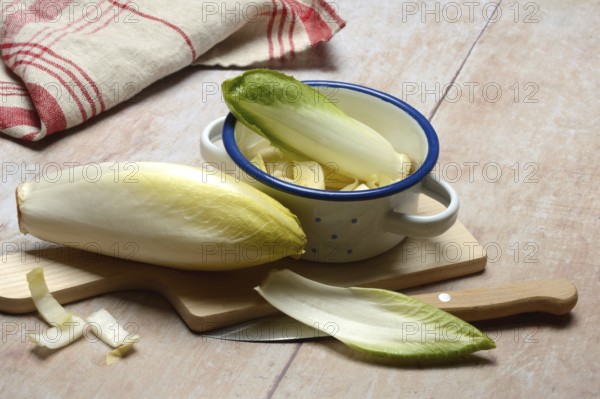 Chicory, chicory salad on wooden board with knife