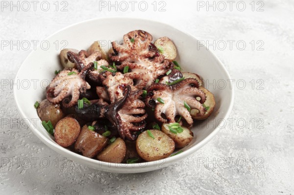 Baby grilled octopus with golden baked potatoes and fresh herbs, Maltese cuisine, homemade, no