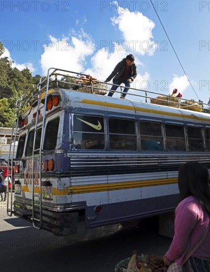 Gualtemalan man packs baskets with chickens on the roof of a bus, market in Sololá, Highlands,