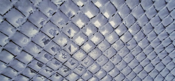 Frozen grid pattern with a cool, bluish atmosphere, Thuringian Forest, Germany