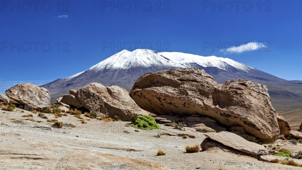 Rocks in desert area with a snow-covered mountain in the background under bright blue sky, The